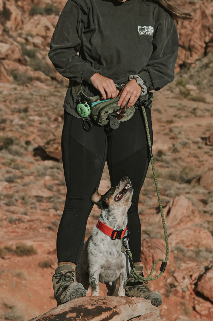 Adventure Pack - Dark Sage