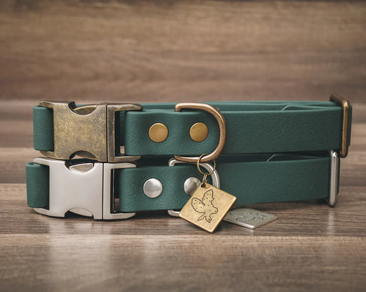 Forest Quick Release Collar