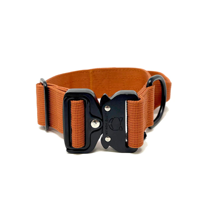 1.5 inch dog collar with handle hotsell