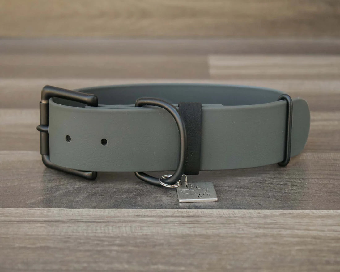 Onyx Buckle Collar 1.5"