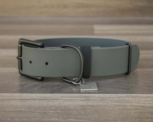 Onyx Buckle Collar 1.5"