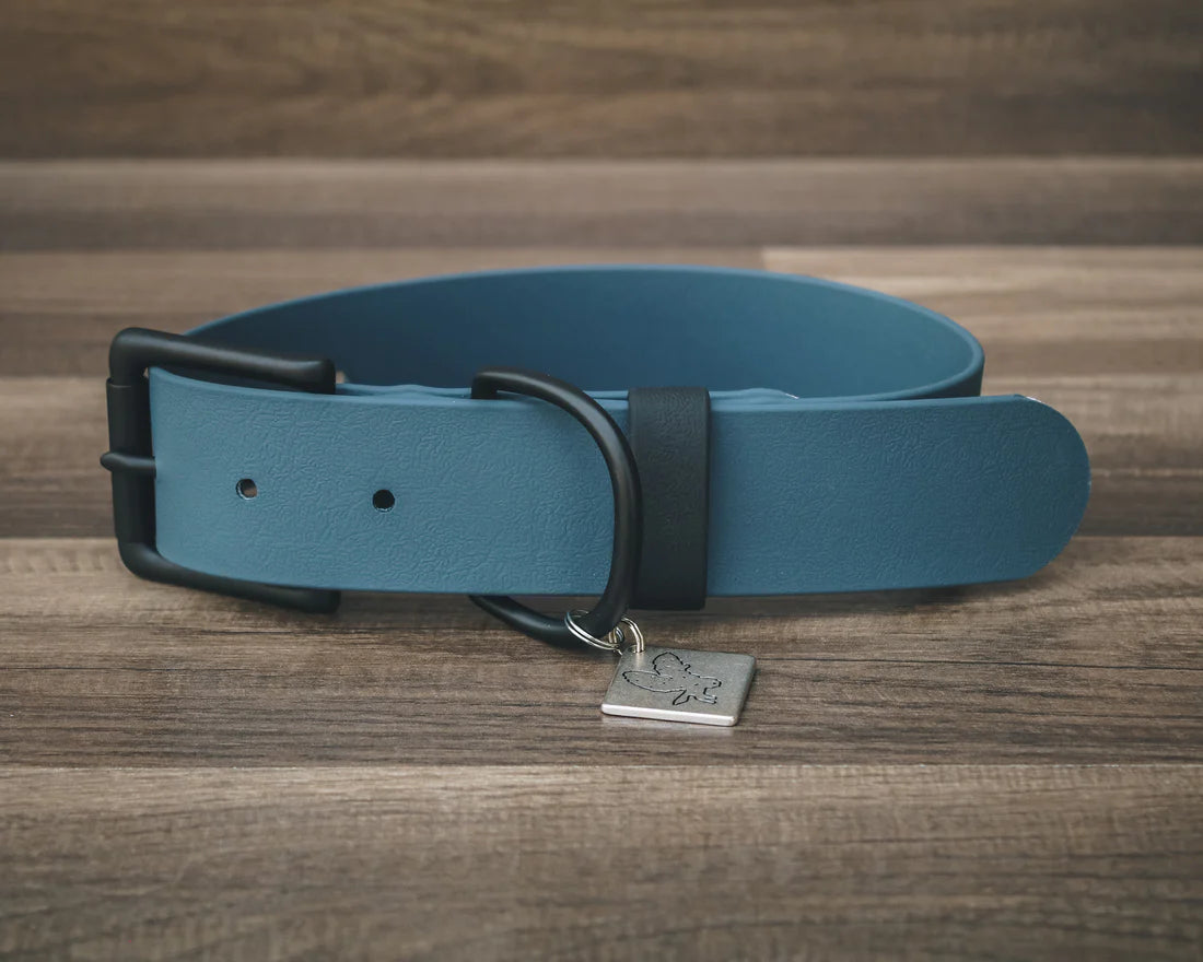 Onyx Buckle Collar 1.5"