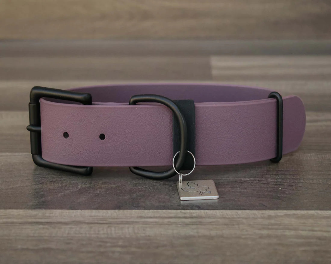 Onyx Buckle Collar 1.5"