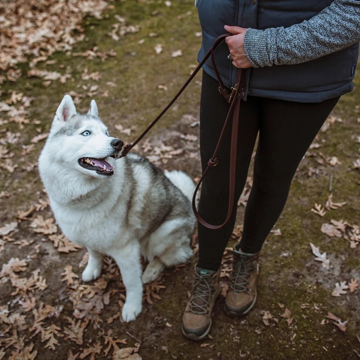 The Summit Leash / All-in-one + Hands Free