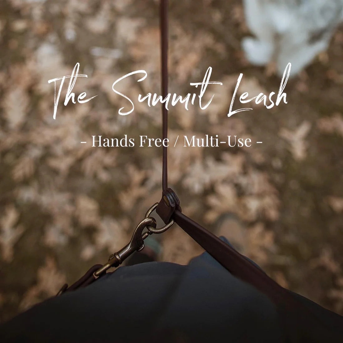 The Summit Leash / All-in-one + Hands Free