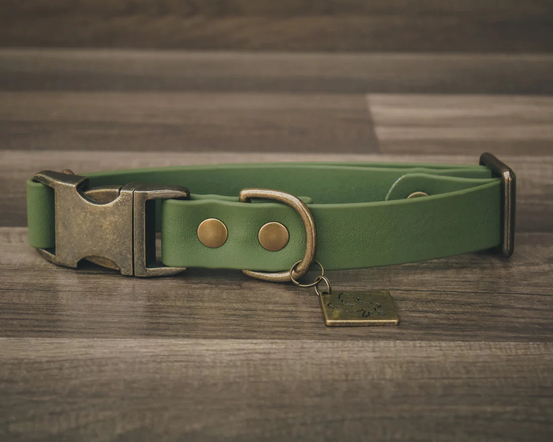 Olive Quick Release Collar