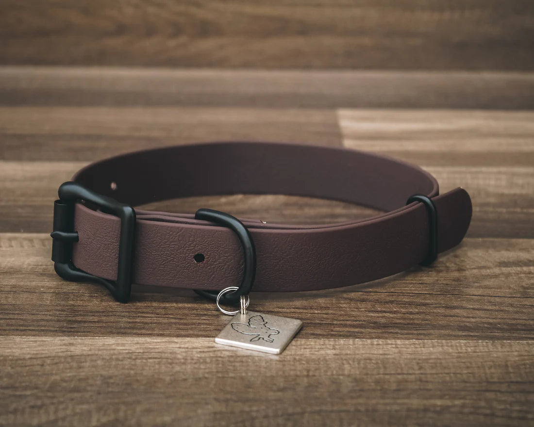 Onyx Buckle Collar