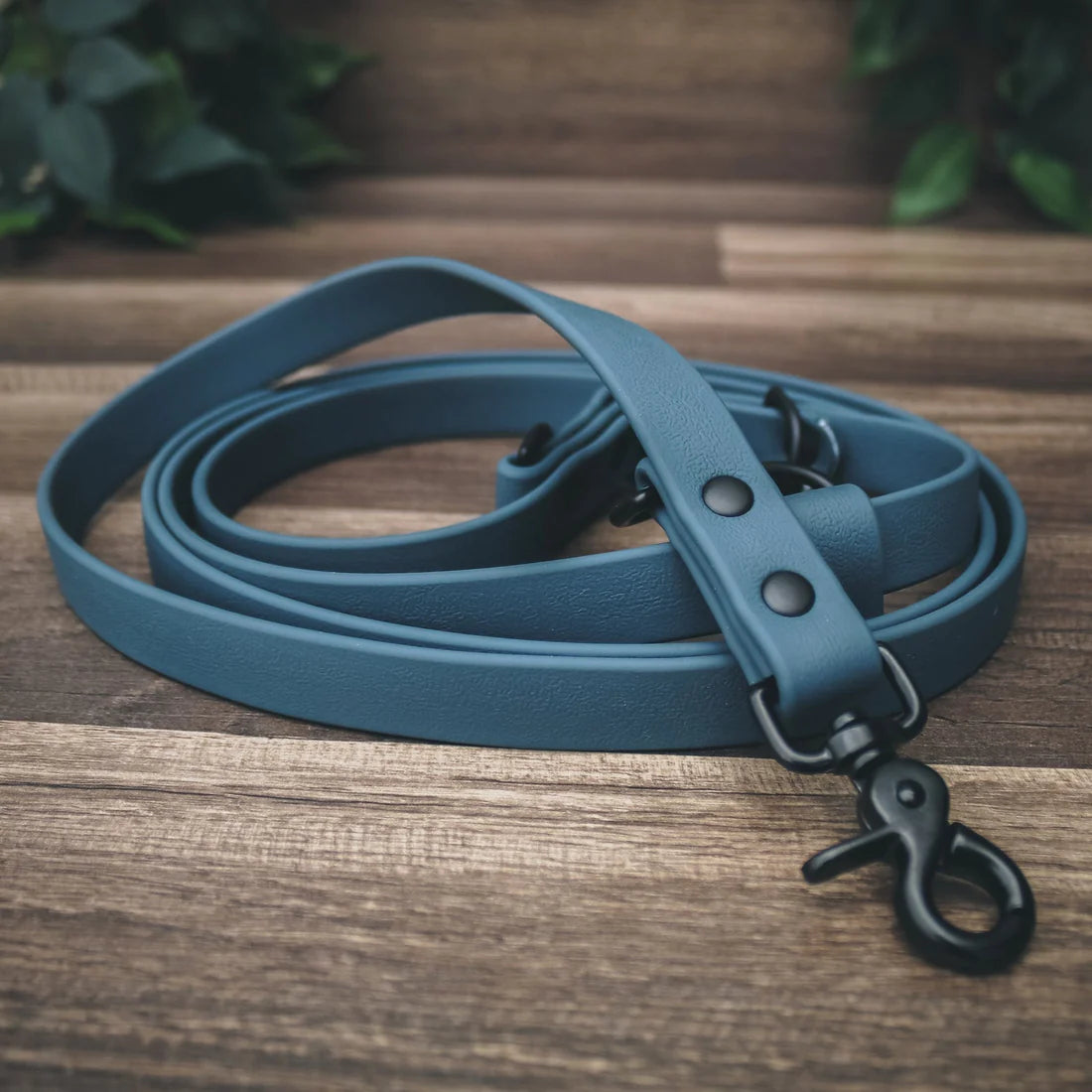 The Summit Leash / All-in-one + Hands Free