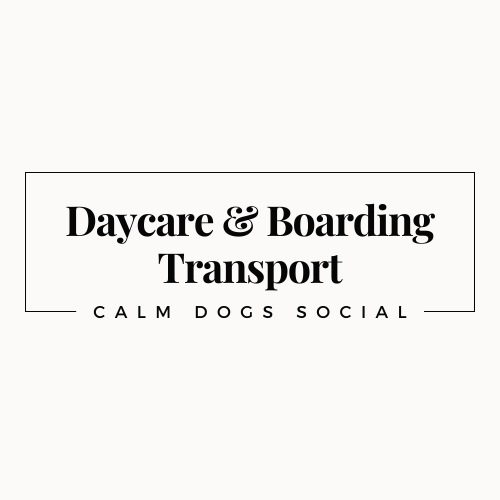 Daycare & Boarding Transport
