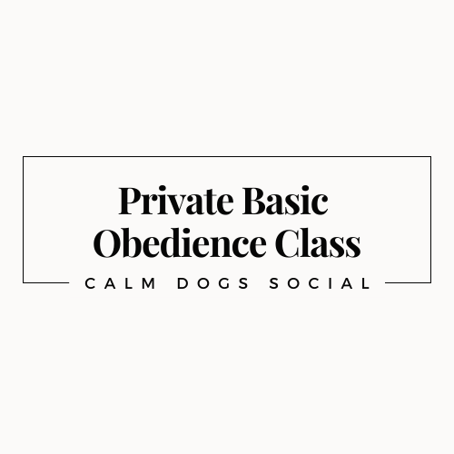 Private Basic Obedience Class