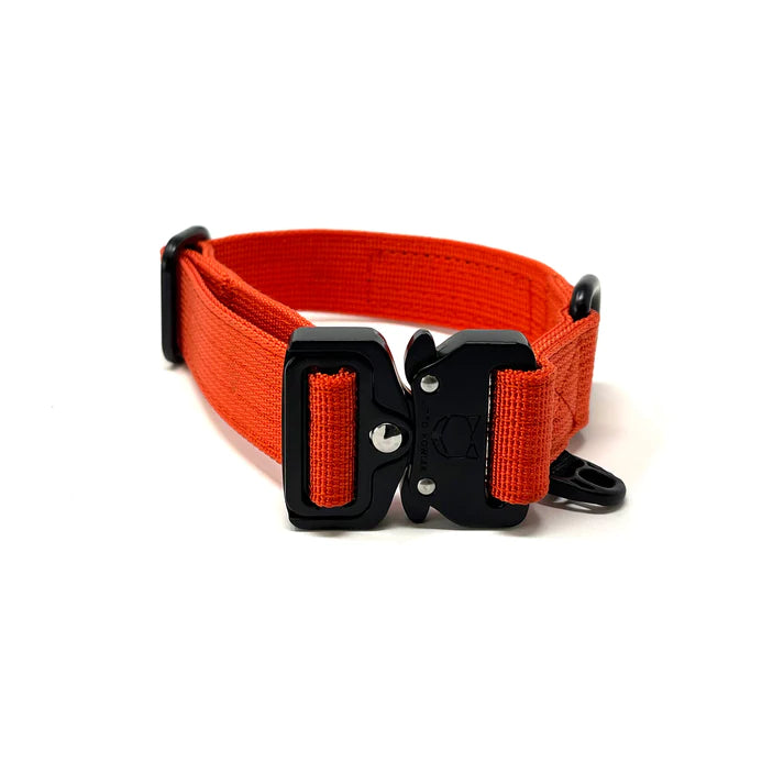 Howler Collar - 1 Inch