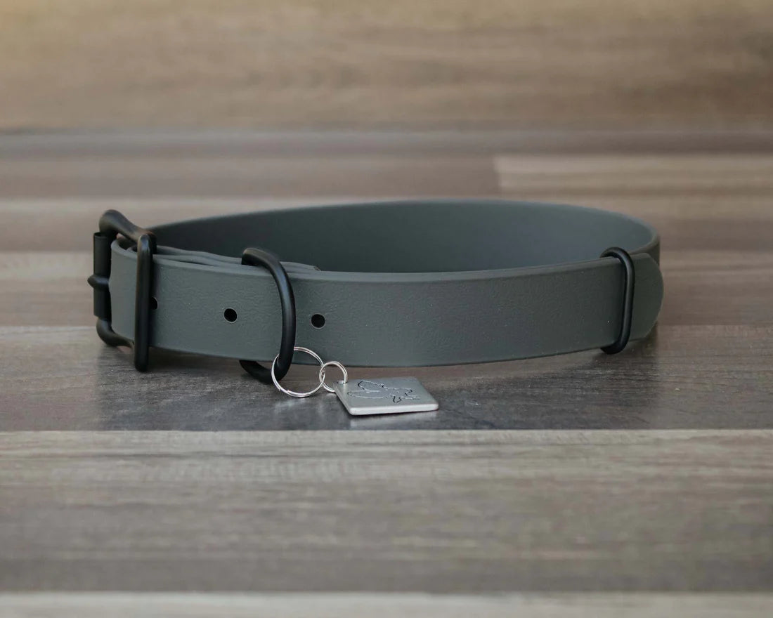 Onyx Buckle Collar