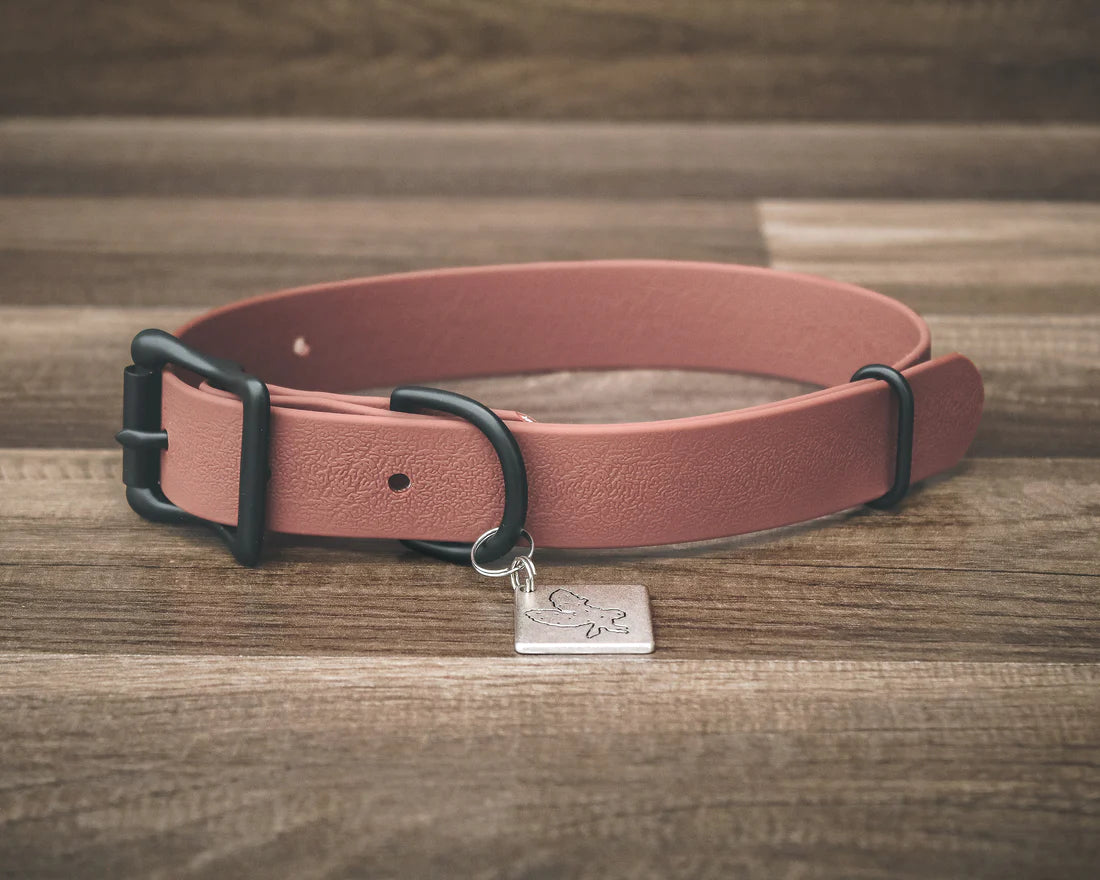 Onyx Buckle Collar