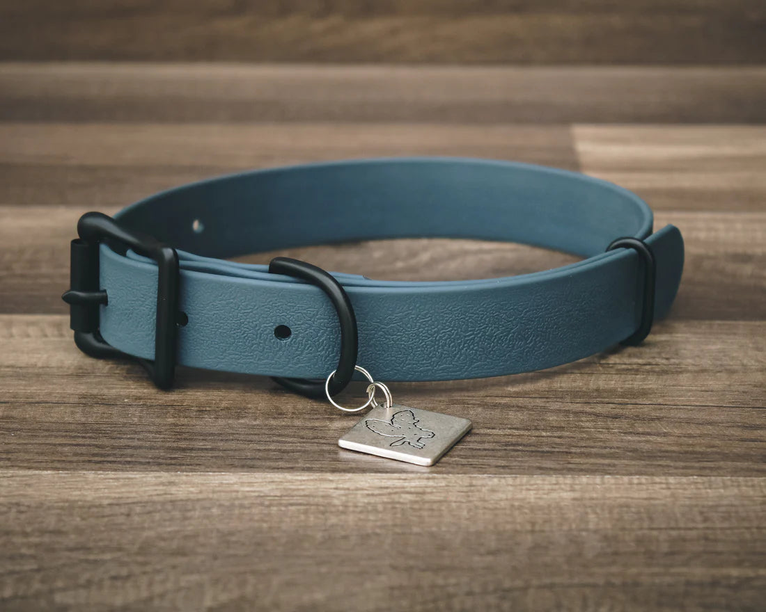 Onyx Buckle Collar