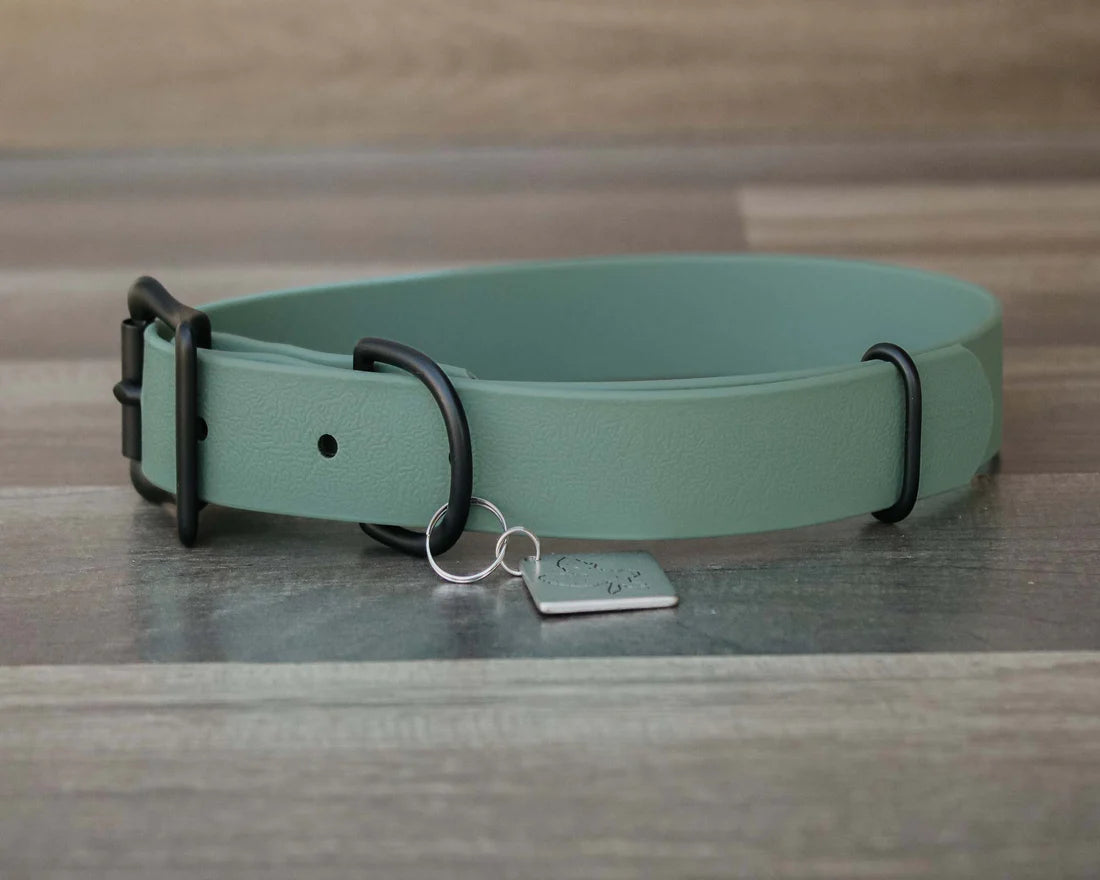 Onyx Buckle Collar