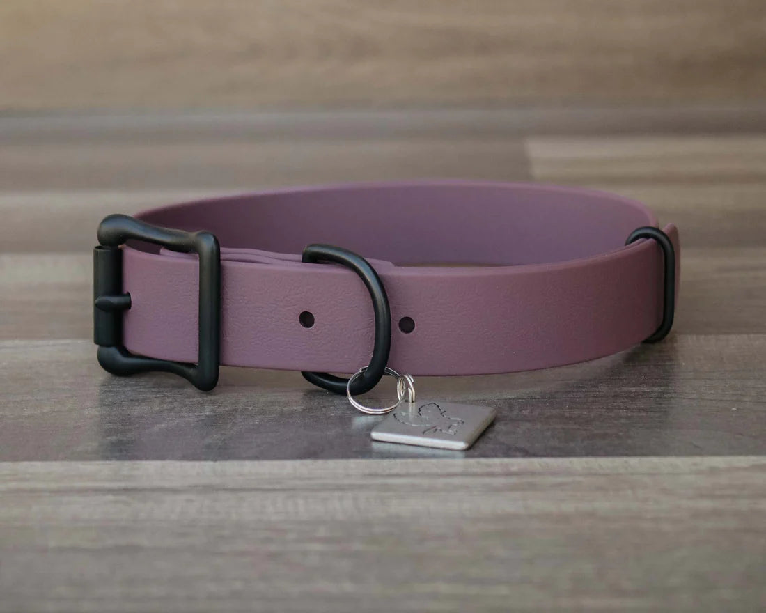 Onyx Buckle Collar